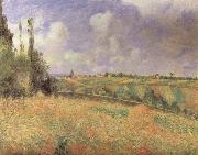 Camille Pissarro Rye Fields at Pontoise oil painting picture wholesale